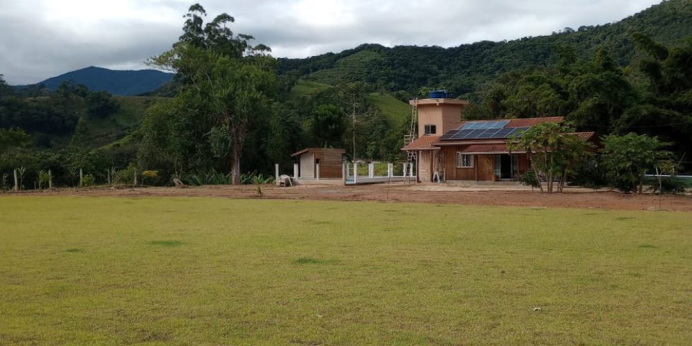 6 - Copia